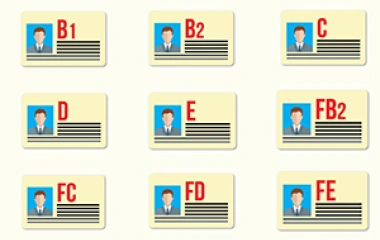 Các Loại Giấy Phép Lái Xe Ô Tô Tại Việt Nam