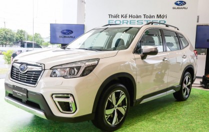 Tư vấn mua thảm lót sàn ô tô Subaru Forester 2019