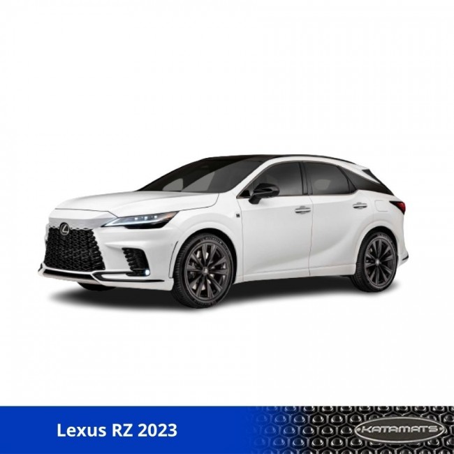 Thảm Sàn Ô Tô Lexus RZ 2023