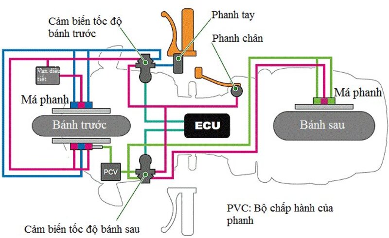 ECU đóng vai trò thu nhận dữ liệu từ cảm biến tốc độ của từng bánh xe