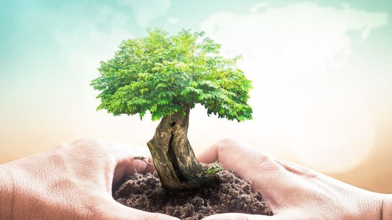 Sử dụng ô tô điện giúp bảo vệ môi trường