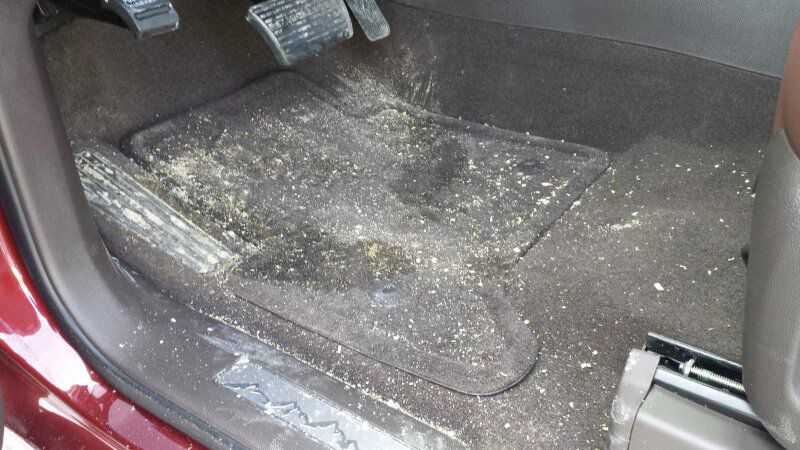 Sàn xe KIA Carnival sẽ rất dễ bám bẩn nếu không dùng thảm lót sàn