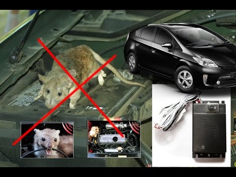 Có những dấu hiệu nào cho thấy xe ô tô đã bị chuột xâm nhập và cần sử dụng thuốc chống chuột?