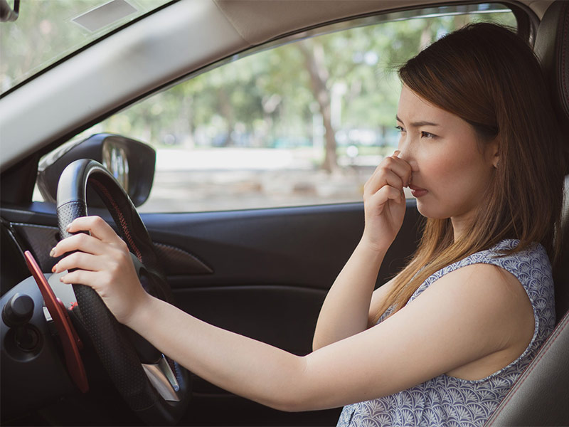 Mùi xe ô tô mới làm giảm trải nghiệm trên xe
