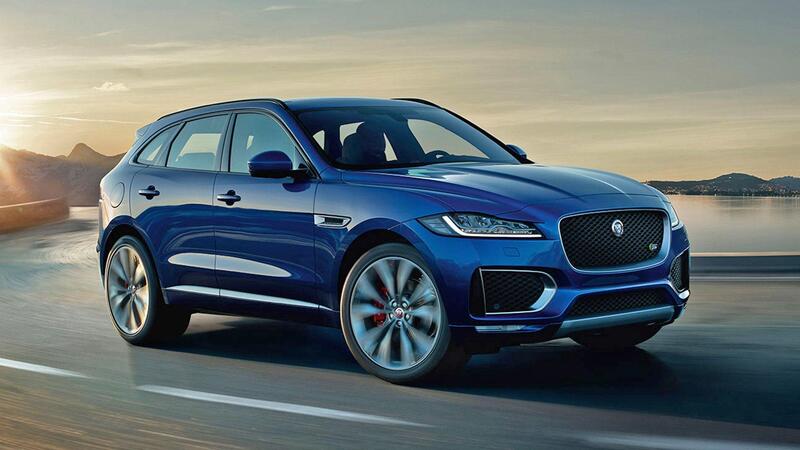 Jaguar sở hữu tốc độ đáng kinh ngạc